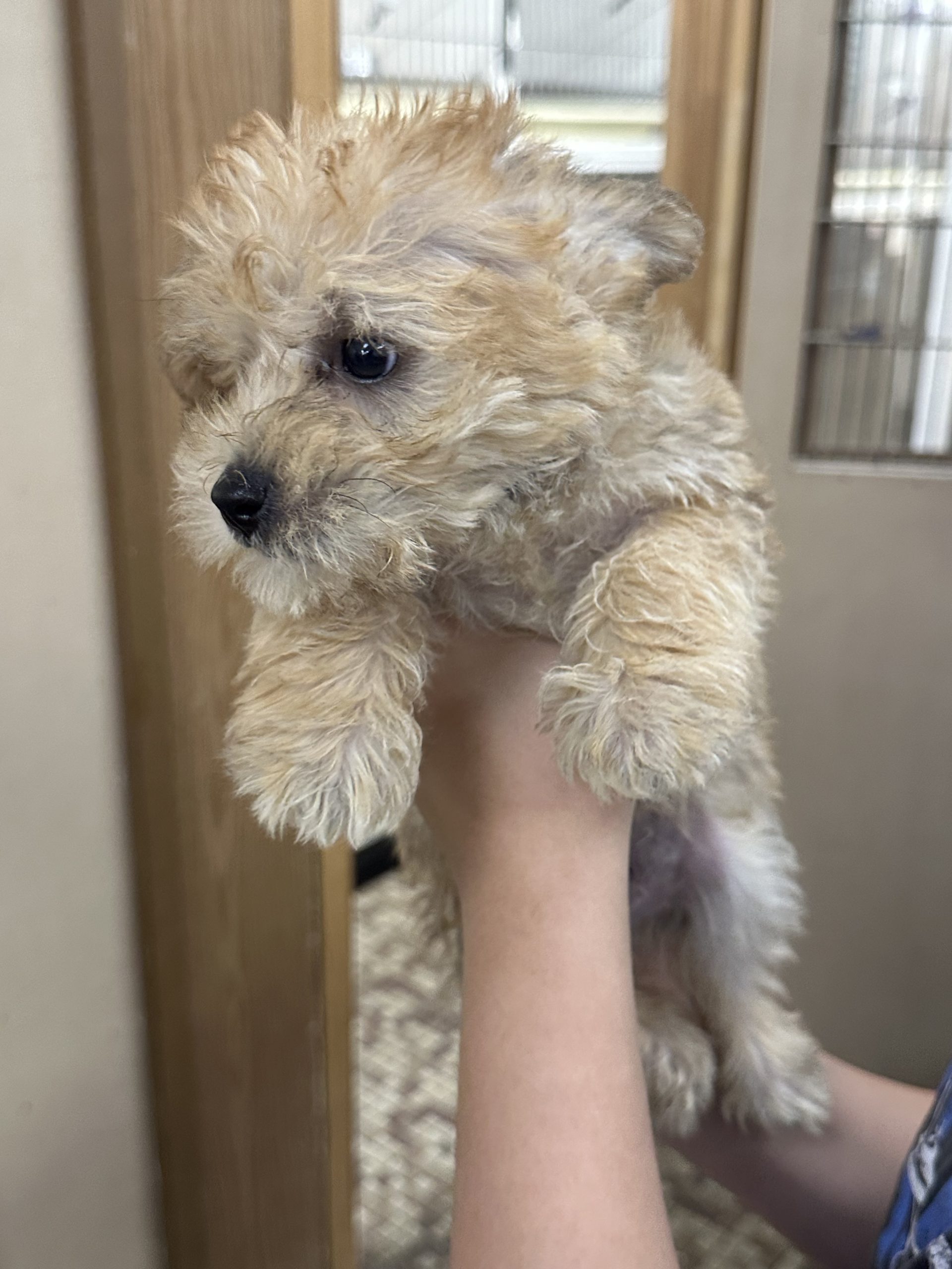 Family Pet Center photo 6